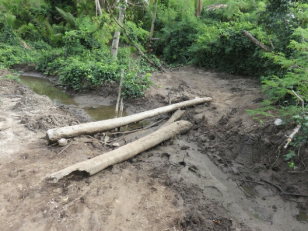 wp-1464300562079 image