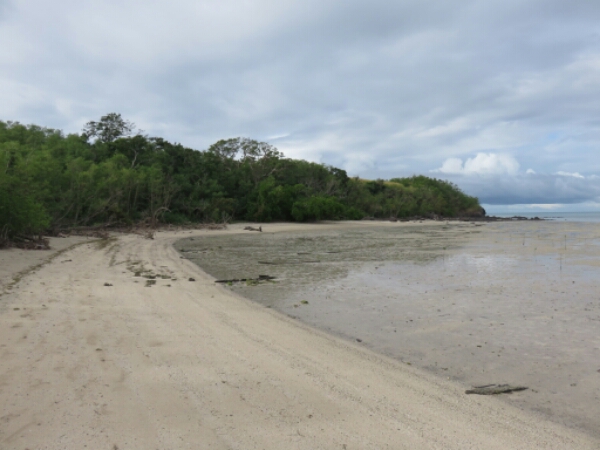 wp-1464300737128 image