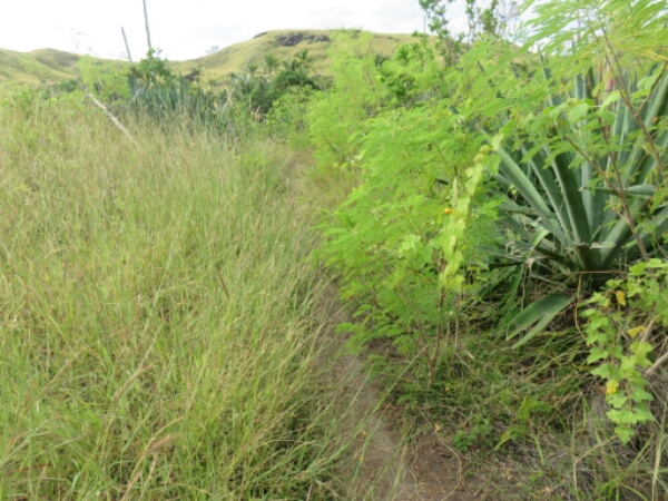 wp-1464300762608 image