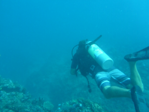 wp-1464908001027 image