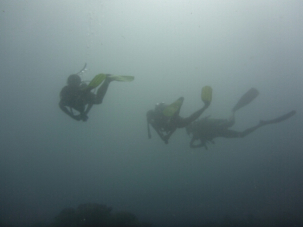 wp-1464908037854 image