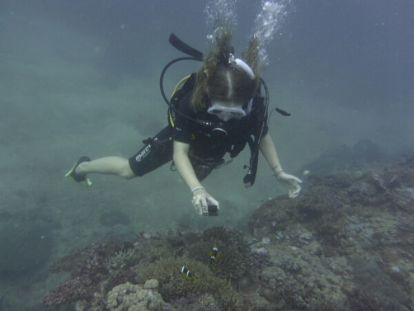 wp-1464908103634 image