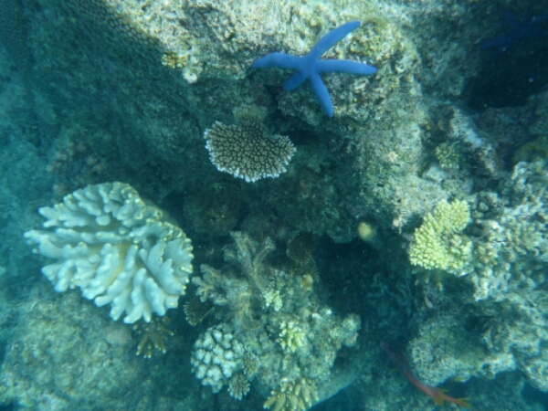 wp-1464908125184 image