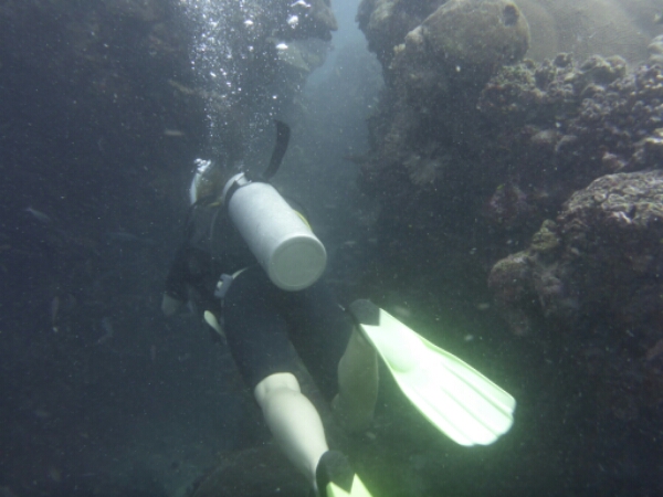 wp-1464908152605 image