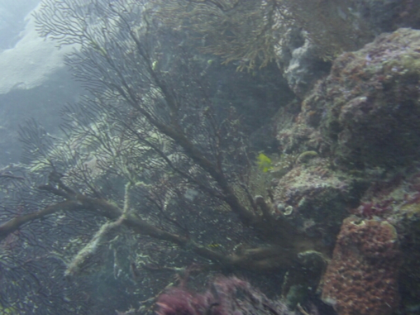 wp-1464908207294 image