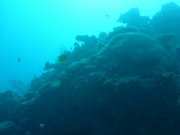 wp-1464908233427 image